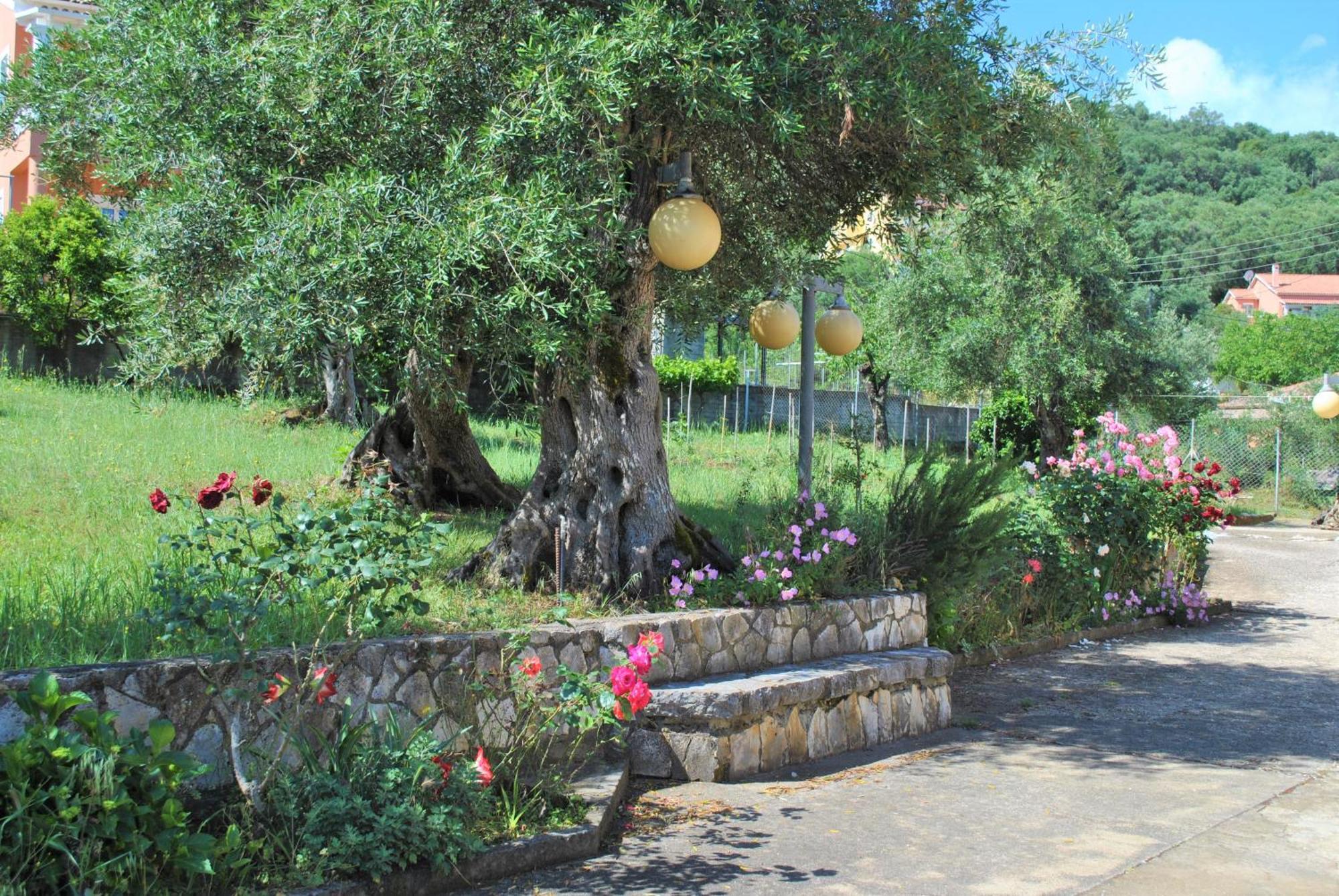 קאסיופי Lefkothea Apartments מראה חיצוני תמונה