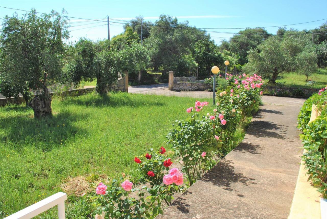 קאסיופי Lefkothea Apartments מראה חיצוני תמונה